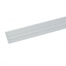 Nora NTE-LIN4SASYLENS - 4&#39; Single Asymmetrical Lens for T-Line Linear LED Track