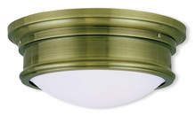 Livex Lighting 7342-01 - Livex Lighting 7342-01