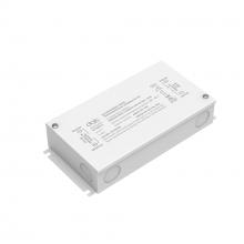 DALS Lighting BT24DIM-IC - White 24W 12V DC Dimmable LED Hardwire driver