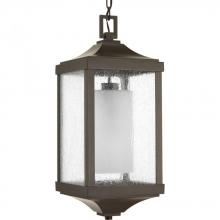 Progress P550003-020 - Devereux Collection One-Light Hanging Lantern
