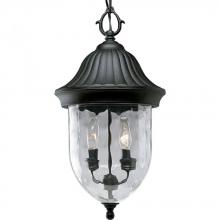 Progress P5529-31 - Coventry Collection Two-Light Hanging Lantern