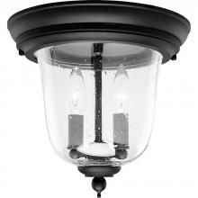 Progress P5562-31 - Ashmore Collection Two-Light 10-1/2&#34; Close-to-Ceiling