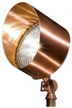 Dabmar LV30-LED4-CP - SOLID BRASS SPOT LIGHT 4W LED PAR36 12V