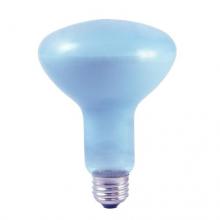 Bulbrite 711065 - 65R30FL/N