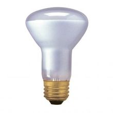 Bulbrite 692045 - H45R20FL