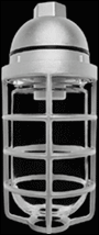 RAB Lighting VP200DG-3/4 - Vaporproof, 200 Pendant 3/4 inch With Glass globe cast guard