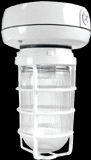 RAB Lighting VX1F13-3/4 - Vaporproof, 900 lumens, CFL, ceiling mount, 13W, QT, 3/4 inch, with Glass globe, cast guard