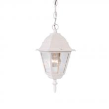 Acclaim Lighting 4006TW - Builder&#39;s Choice Collection Hanging-Mount 1-Light Outdoor Textured White Lantern