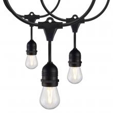 Satco Products Inc. S8030 - 24Ft; LED String Light; Includes 12-S14 bulbs; 2200K; 120 Volts