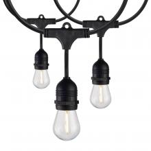 Satco Products Inc. S8032 - 60Ft; Commercial LED String Light; Includes 24-S14 bulbs; 2200K; 120 Volts