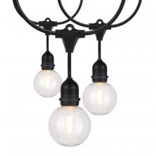 Satco Products Inc. S8034 - 24Ft; LED String Light; Includes 12-G25 bulbs; 2200K; 120 Volts