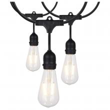 Satco Products Inc. S8036 - 24Ft; LED String Light; 12 Vintage ST19 bulbs Included; 120 Volts