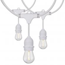 Satco Products Inc. S8038 - 24Ft; LED String Light; Includes 12-S14 bulbs; 2200K; White Cord