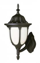 Trans Globe 4041 BC - Hamilton 1-Light Opal Glass Traditional Outdoor Wall Lantern