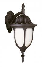 Trans Globe 4048 BC - Hamilton 13&#34; Wall Lantern