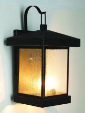 Trans Globe 45642 WB - Santa Cruz 18&#34; Wall Lantern