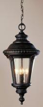 Trans Globe 5049 BG - Commons 17&#34; Hanging Lantern