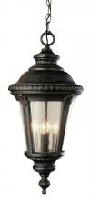 Trans Globe 50491 BG - Commons 22&#34; Hanging Lantern