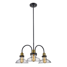 Trans Globe 70825 ROB - Jackson 24&#34; wide Pendant