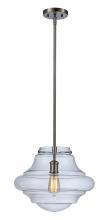 Trans Globe PND-2151 - Porter Schoolhouse Clear Glass 1-Light Pendant