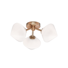 Matteo Lighting X81743AGOP - Novo Aged Gold Brass Ceiling Mount