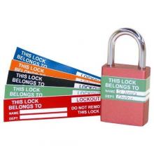 Morris 21582 - Lock Labels Blue 10 Pack