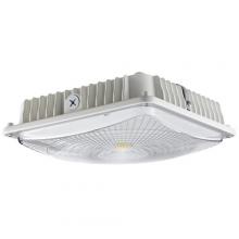 Morris 71604 - LED UltraThin Canopy Light 45 Watts 5000K White