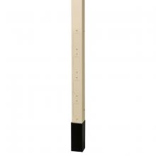 Hubbell Premise Wiring HBLPPO12AI - SVCE POLE, 12&#39;2&#34;, BLANK W DIVIDER IVORY