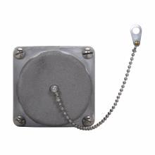 Eaton Crouse-Hinds ATP364 - REPLACE PART-RETAIN PLATE/HARDWARE FOR A