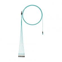 Panduit FXTRP8NUSSNF014 - OM3 12-fiber round harness cable, plenum