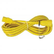 TPI RS-9EC - 9&#39; Extention Cord with Power Switch