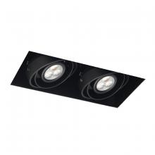 Eurofase TE212LED-01 - 2LT TRIMLESS MULTI,LED,BLACK