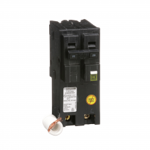 Schneider Electric HOM220CAFI - Mini circuit breaker, Homeline, 20A, 2 pole, 120