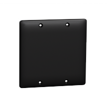 Schneider Electric SQWS140002BK - Blank plate, X Series, 2 gang, black, matte fini