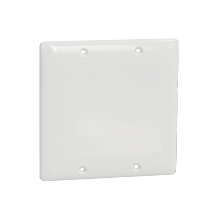 Schneider Electric SQWS140002WH - Blank plate, X Series, 2 gang, white, matte fini