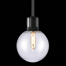 ZEEV Lighting P11708-E26-SBB-G11 - 8&#34; E26 Clear Globe Glass Pendant Light and Satin Brushed Black Metal Finish