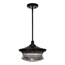 ZEEV Lighting P30044-1-DBZ - Magister 12&#34; Retro Glass Pendant in Dark Bronze