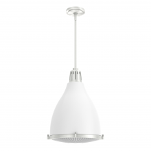 Hunter 19213 - Hunter Bluff View Fresh White and Brushed Nickel with Clear Holophane Glass 3 Light Pendant Ceiling
