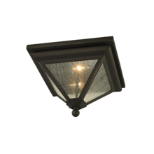 Troy C6470-VBZ - Geneva Flush Mount