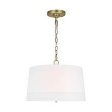 Visual Comfort & Co. Studio Collection LP1094TWBWLW - Ivy traditional dimmable indoor 1-light wide pendant in a time worn brass finish with an etched whit