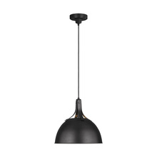 Visual Comfort & Co. Studio Collection TP1061AI - Medium Pendant