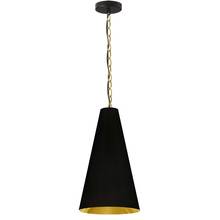 Dainolite ANA-S-AGB-698 - 1LT Anaya Small Pendant,  AGB w/ BK/GLD Shade