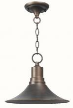 World Imports WI909586 - Dark Sky Kingston Outdoor 1-Light Pendant