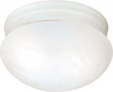 Nuvo SF76/613 - 2 Light - 10&#34; Flush with Alabaster Glass - Textured White Finish