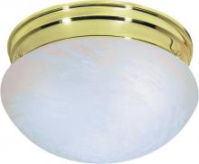Nuvo SF76/675 - 2 Light - 10&#34; Flush with Alabaster Glass - Polished Brass Finish